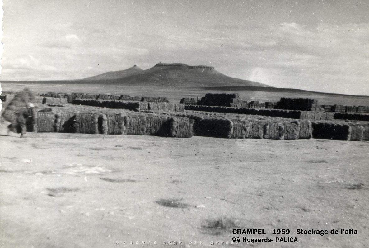 Palica - D- Crampel 006.JPG
